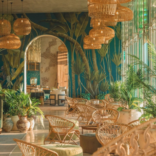 instagram @veganwelcome